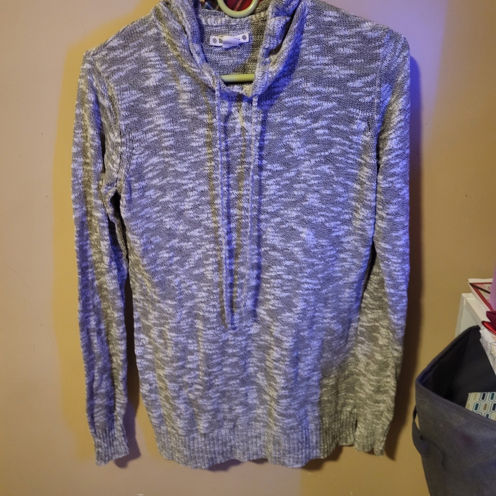 Ruff Hewn Gray Hooded Sweatshirt